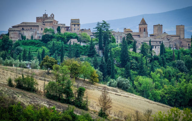 Podere La Torre - Photo 4