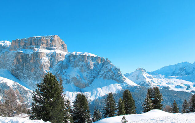 Villa Placidia Apt 22 - Photo 30