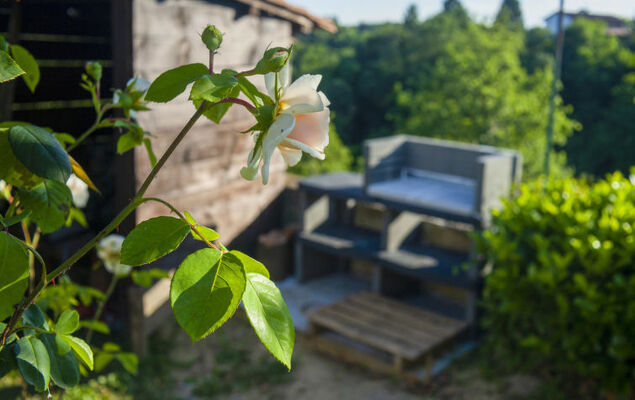 La Vallia - Photo 31