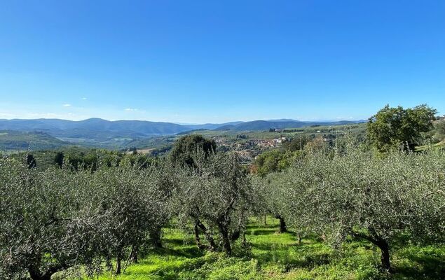 Villa Grassina - Photo 41