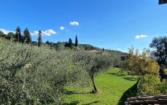 Villa Grassina - Photo 44