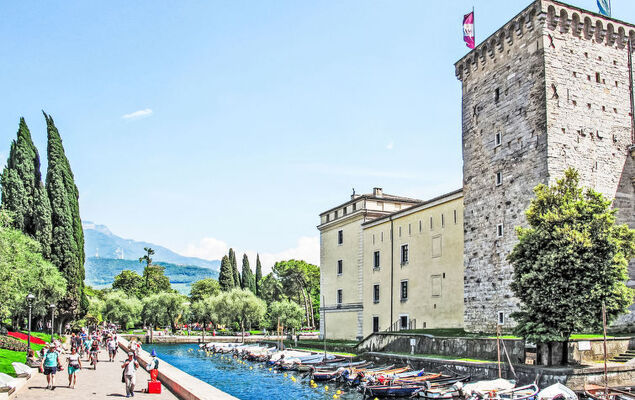 Calicantus - Nespolo - Photo 34