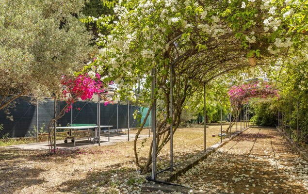 Cicladi Paros - Photo 25