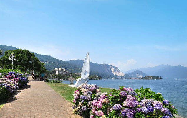 Delle Ortensie - Photo 31