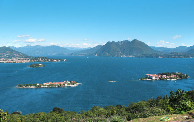 Delle Ortensie - Photo 35